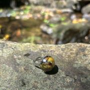 Anillo Amuleto das Meigas