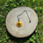 Colgante Rayos de Sol