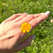 Anillo Margarita amarilla silvestre