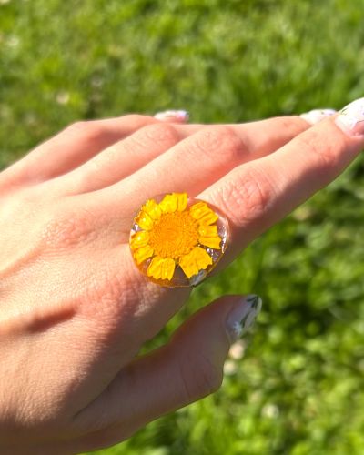 Anillo Margarita amarilla silvestre