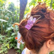 Pinza de pelo semicírculo