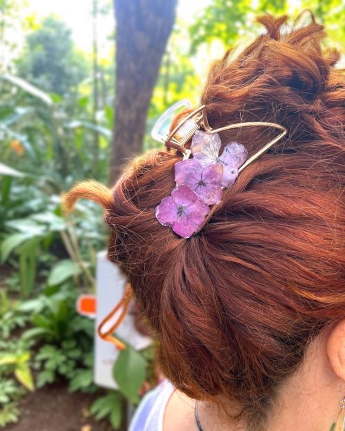 Pinza de pelo semicírculo