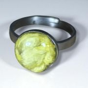 Anillo Círculo