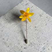 Broche Narciso Primavera 2026