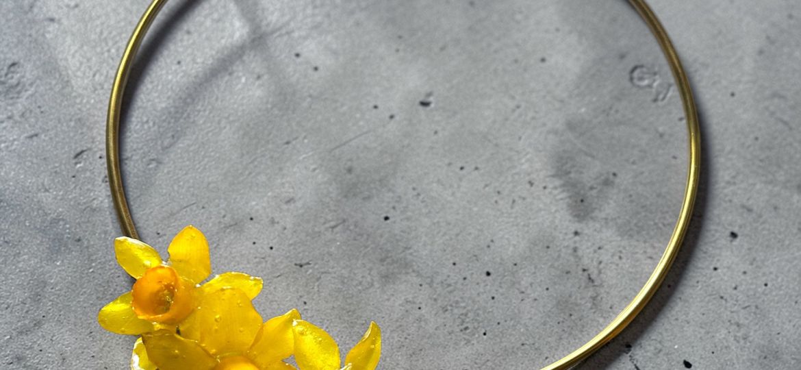NARCISOS