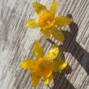 Conjunto Primavera 2026