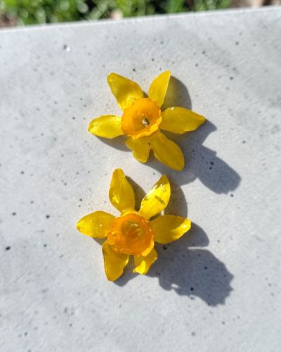 Conjunto Primavera 2026