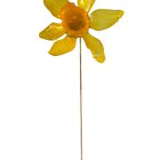 Broche Narciso Primavera 2026