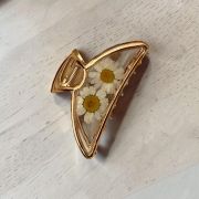 Pinza Margarita Primavera 2026