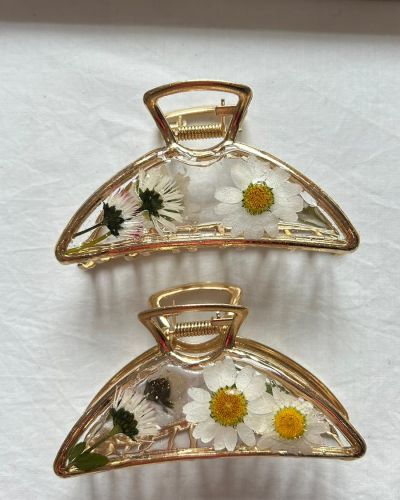 Pinza Margarita Primavera 2026